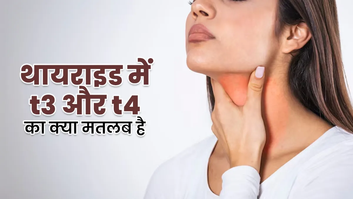थायराइड की बीमारी में t3 और t4 का क्या मतलब है? डॉक्टर से समझें इन दोनों का अंतर