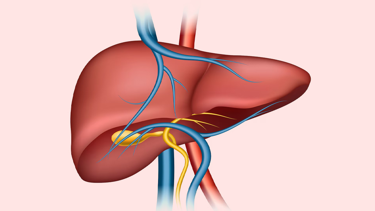 hepatitis-prvention-tips-inside