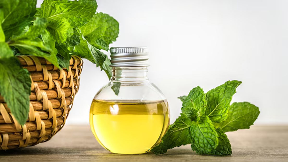 neem-oil-for-mosquito-prevention