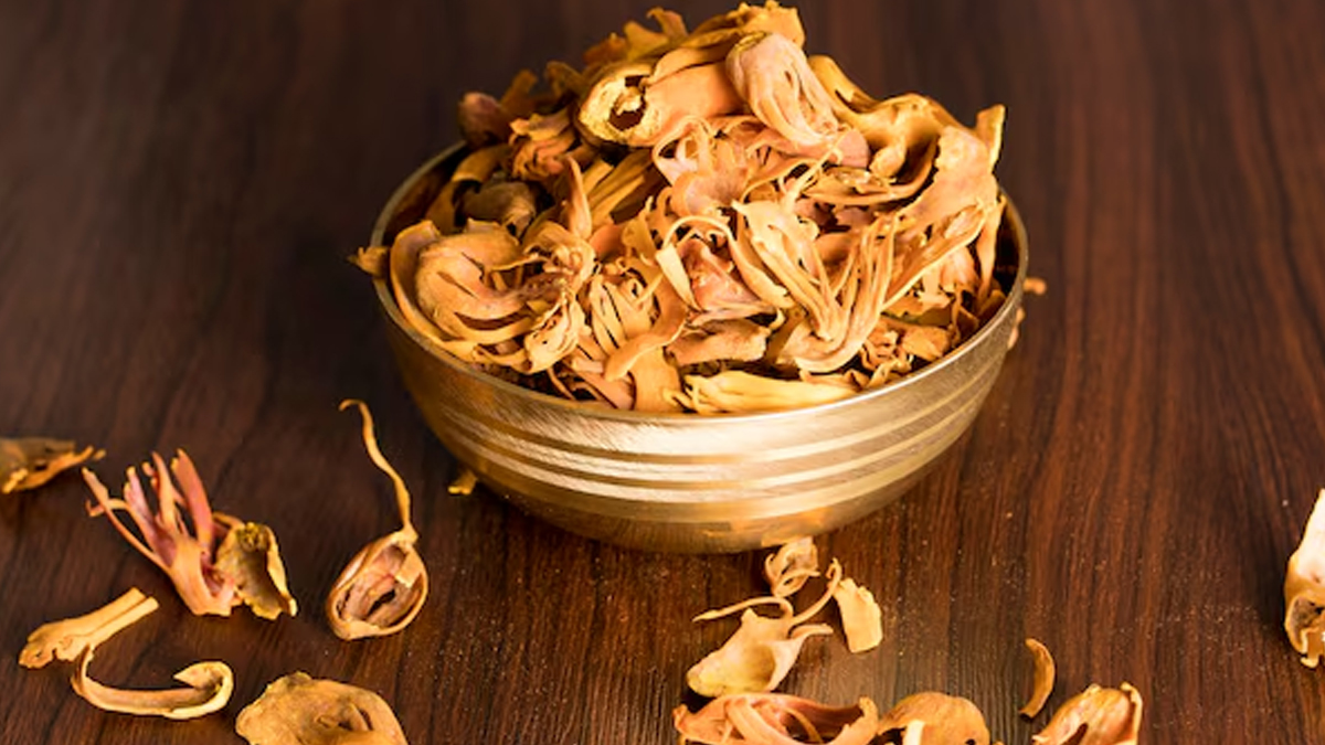 01 - 2025-07-31T062557.330