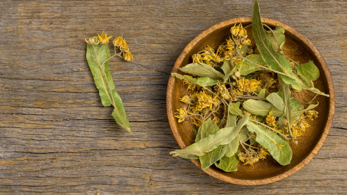 Senna-herb-in-hindi-inside