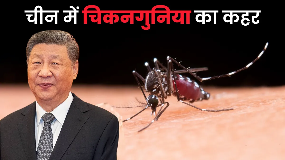 चीन में चिकनगुनिया के 7000 से ज्यादा मामले, स्वास्थ्य विभाग अलर्ट, जानें इसके शुरुआती लक्षण और कैसे करें पहचान