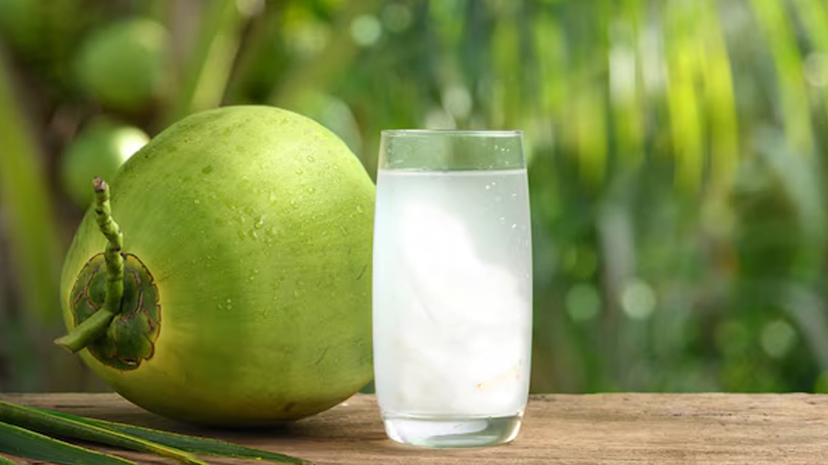 बदन तोड़ने वाले टाइफाइड के बुखार में रामबाण है नारियल पानी, तेजी से होती है रिकवरी