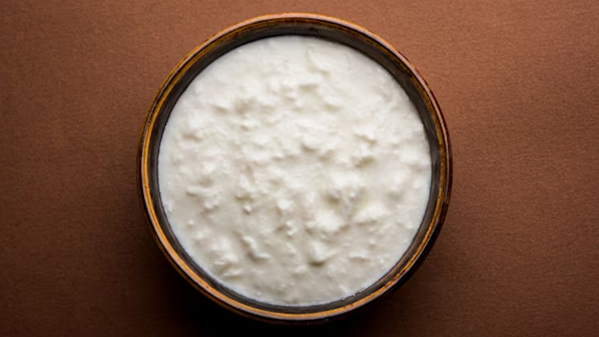 is it safe to eat curd at night during pregnancy 01 (11)