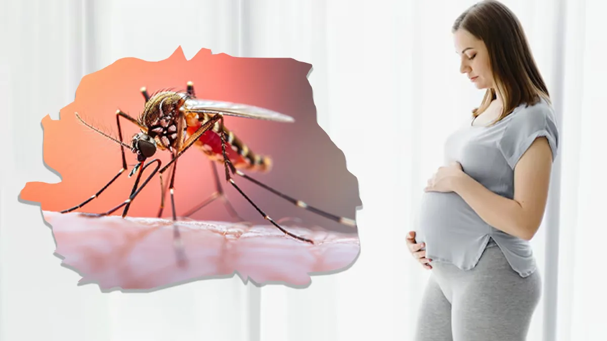 क्या प्रेग्नेंसी में चिकनगुनिया के कारण पड़ सकता है भ्रूण पर असर? डॉक्टर से जानें