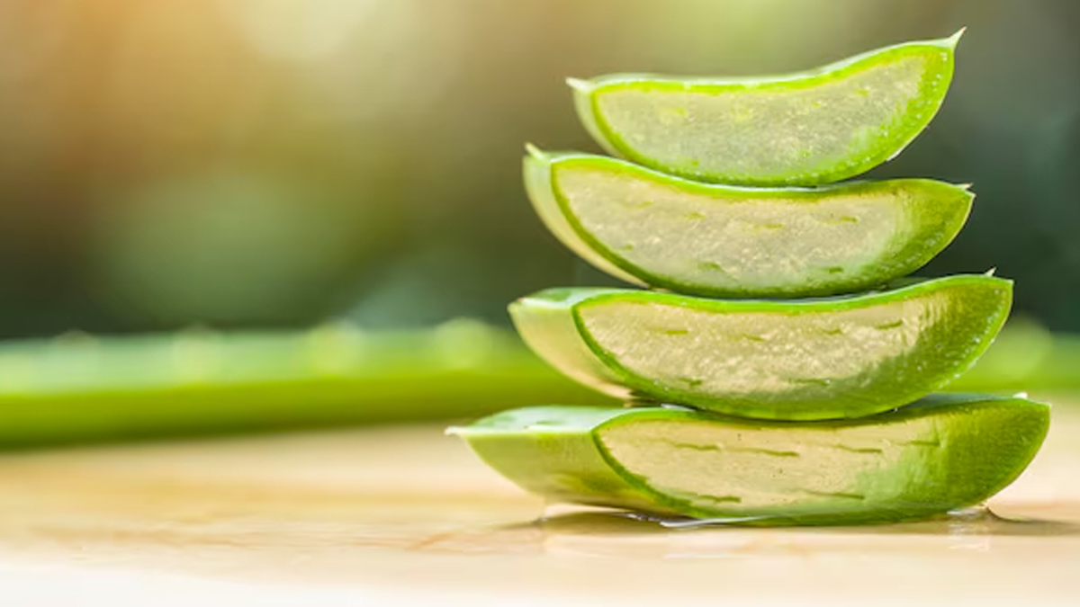 aloevera
