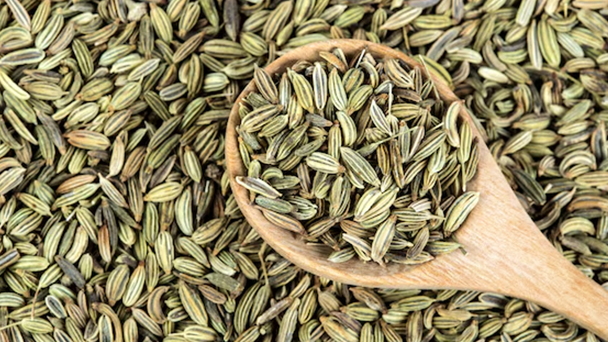 saunf kise nahi khani chahiye