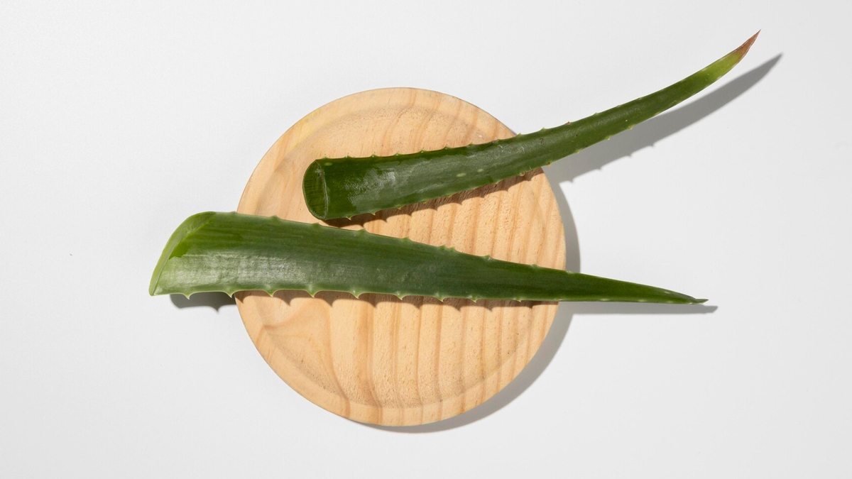 aloevera_benefits
