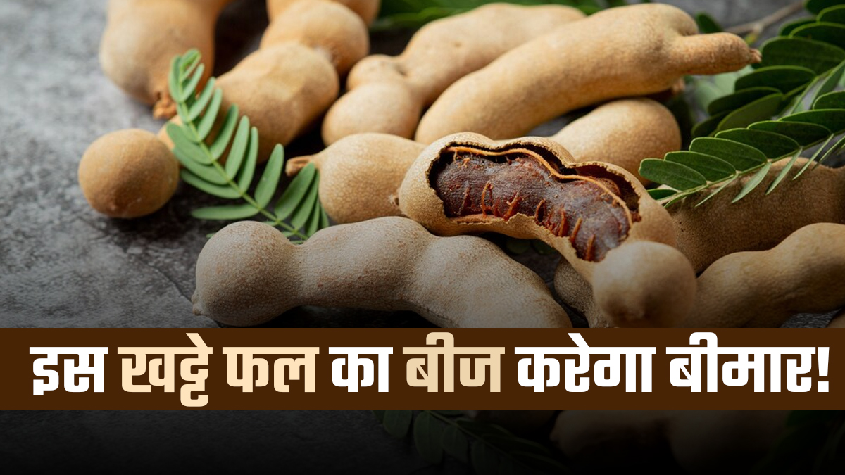 भूलकर भी न खाएं इस खट्टे फल के बीज, खाया हो सकते हैं ये नुकसान