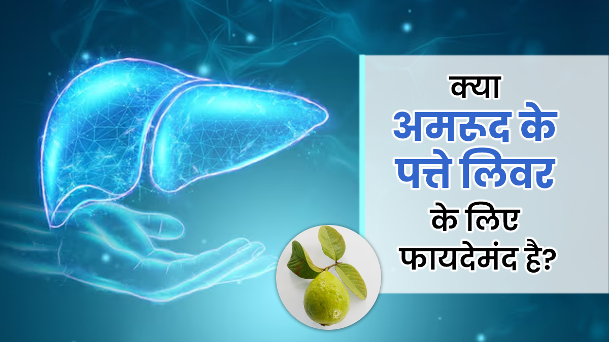 क्या अमरूद के पत्ते लिवर के लिए भी फायदेमंद हैं? एक्सपर्ट से जानें