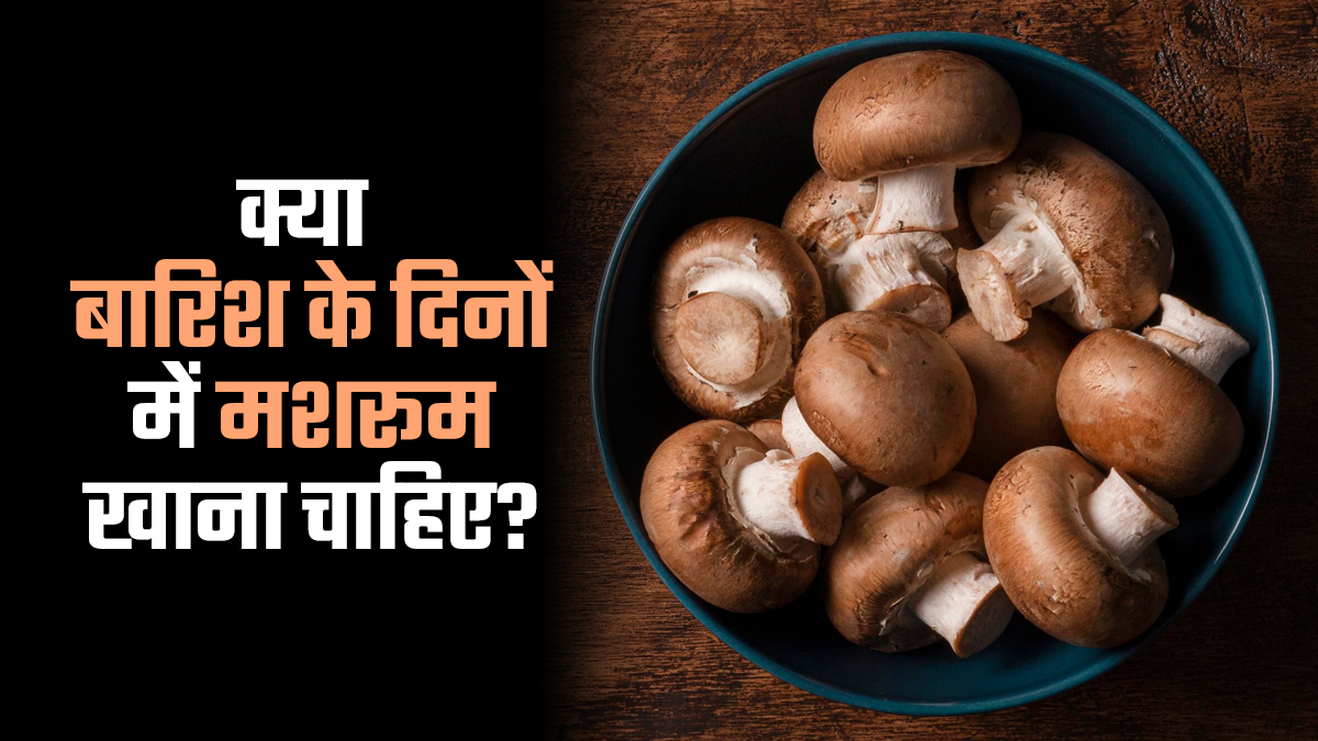क्या बारिश के दिनों में मशरूम खाना चाहिए? एक्सपर्ट से जानें इसके फायदे-नुकसान