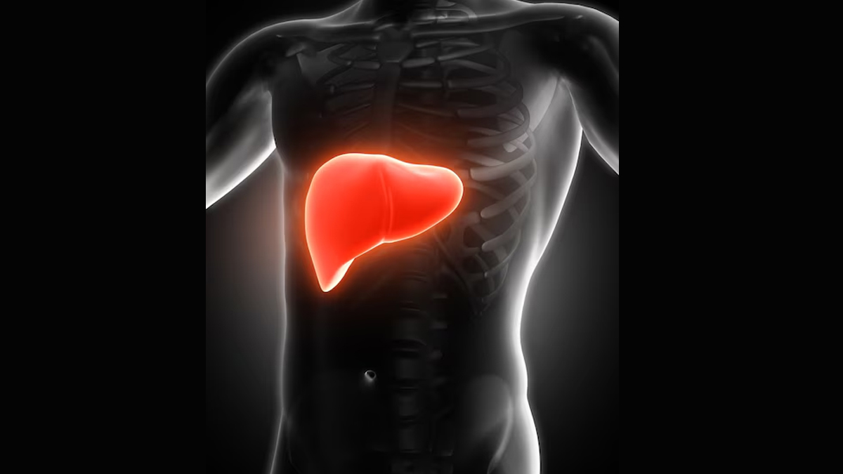 guava leaves benefits for liver in hindi Untitled-1