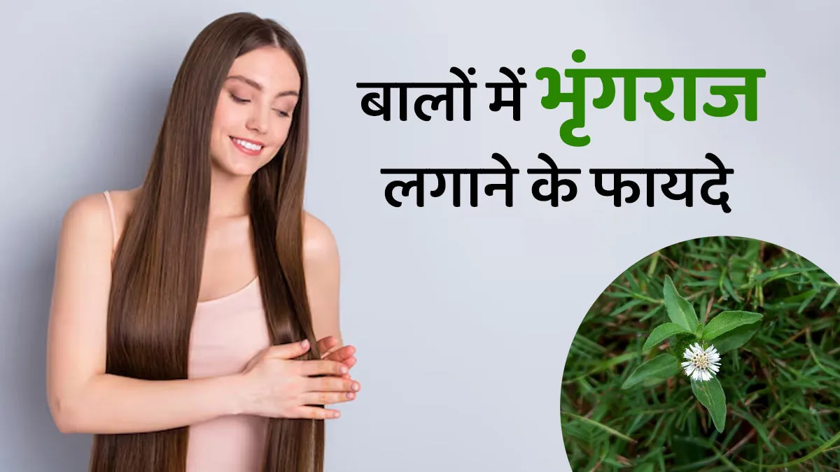 मोटी चोटी और घुटनों तक लंबे बालों के लिए रामबाण है, ये आयुर्वेदिक जड़ी-बूटी, जानें फायदे