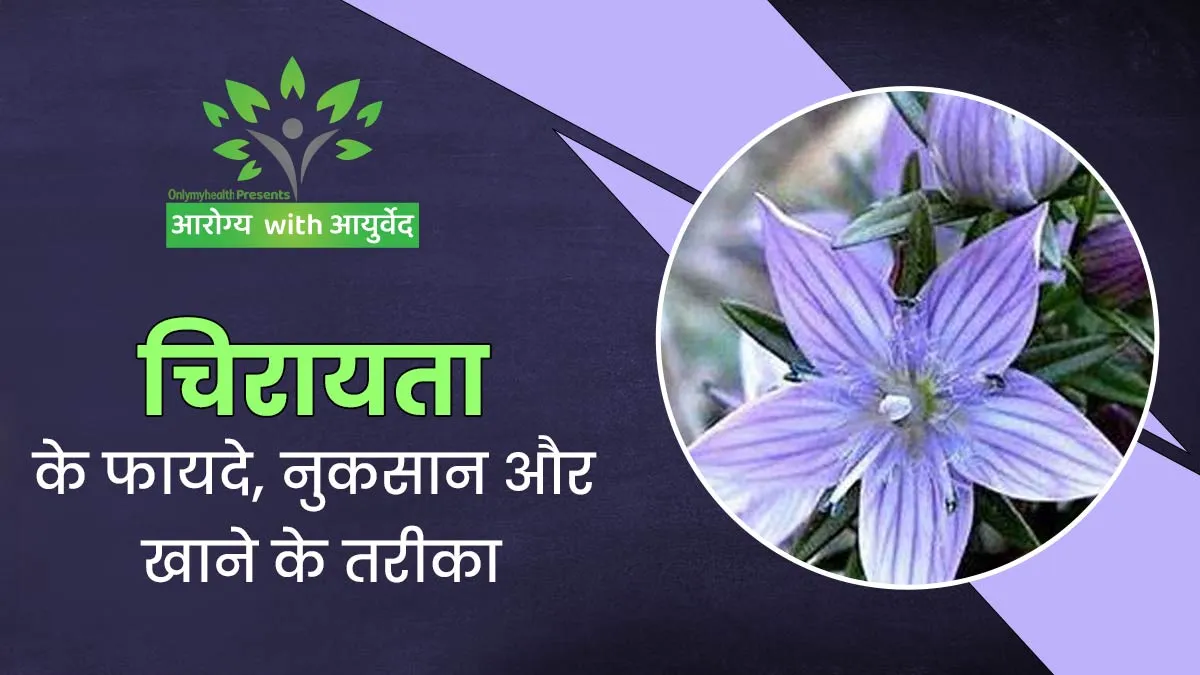 चिरायता के फायदे, नुकसान और सेवन का सही तरीका क्या है? जानें आयुर्वेदाचार्य से