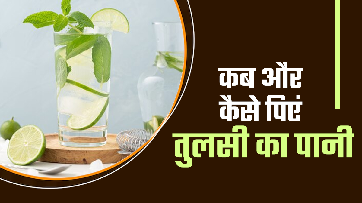 तुलसी का पानी कब और कैसे पीना चाहिए? डॉक्टर से जानें