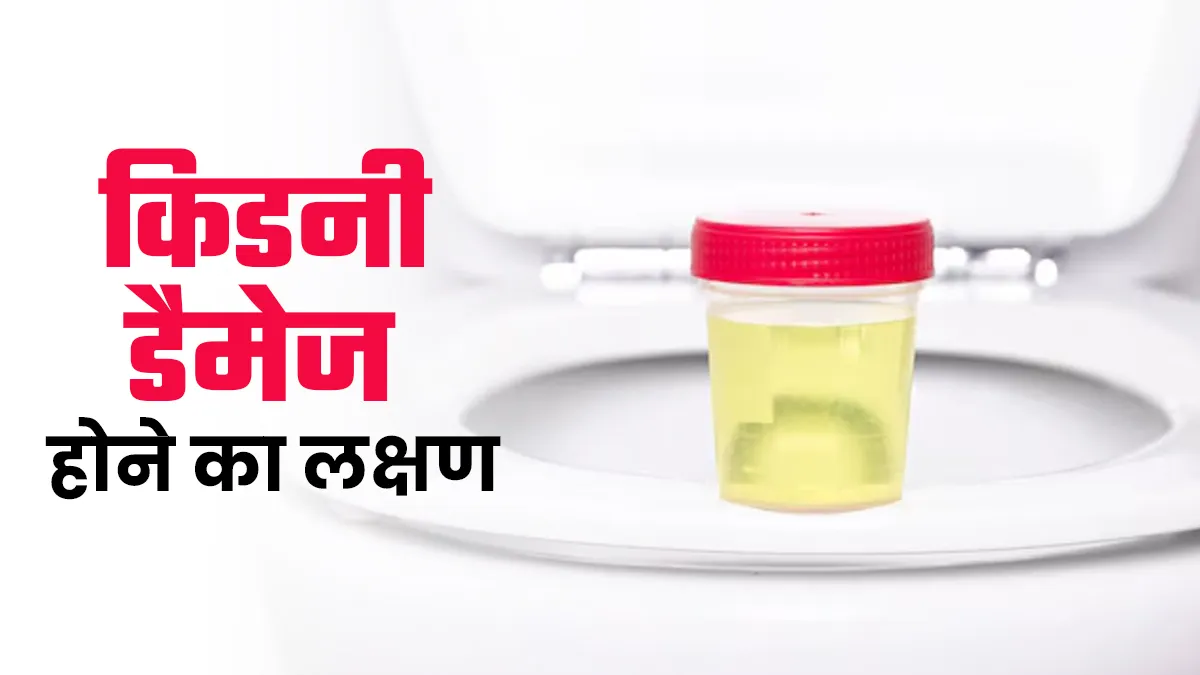 किडनी डैमेज होने से पेशाब कैसे आता है? इन 5 बदलावों पर दें ध्यान