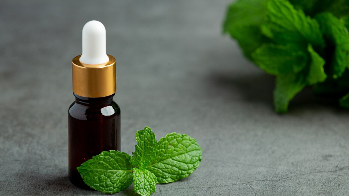 benefits of taking a bath by adding peppermint or pudina oil to water in hindi 01 (5)