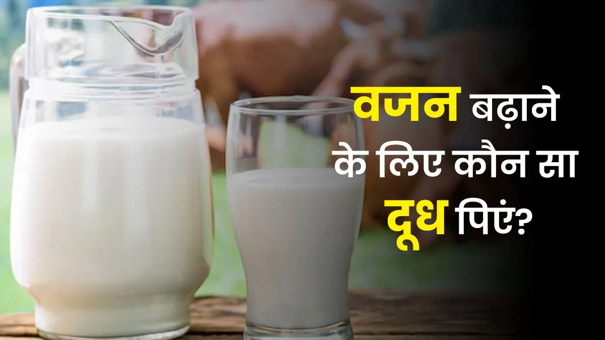 गाय या भैंस का दूध, जल्दी मोटा होने के लिए क्या पिएं? एक्सपर्ट से जानें