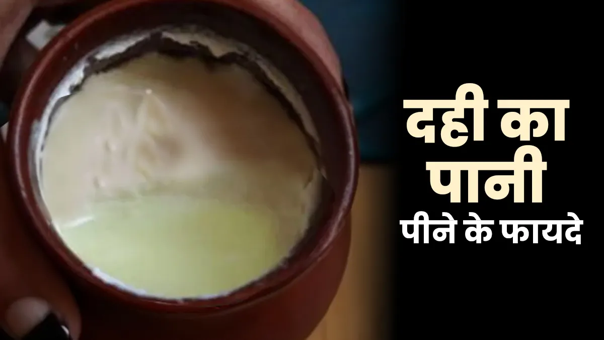 दही का पानी पीने से क्या फायदे होते हैं? एक्सपर्ट से जानें
