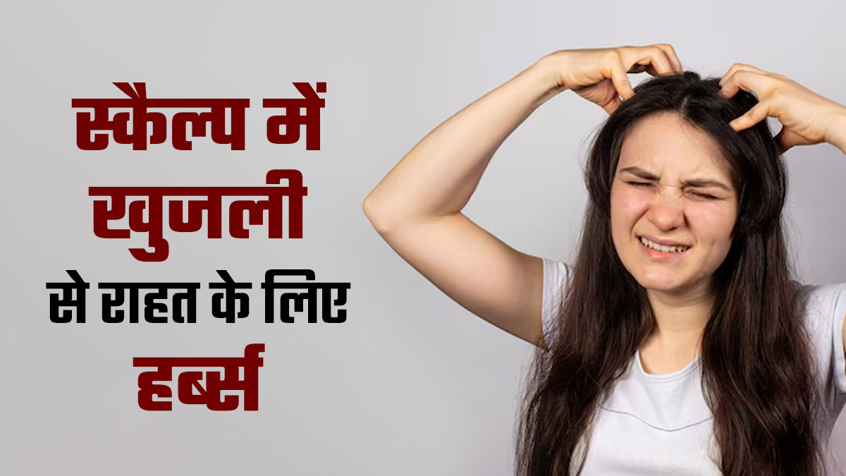 स्कैल्प में खुजली की समस्या ने कर दिया परेशान, तो ये 5 जड़ी-बूटी दिलाएंगी आराम