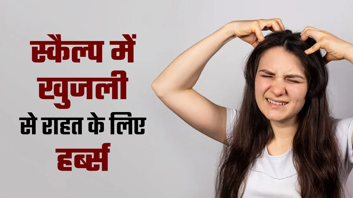 स्कैल्प में खुजली की समस्या ने कर दिया परेशान, तो ये 5 जड़ी-बूटी दिलाएंगी आराम