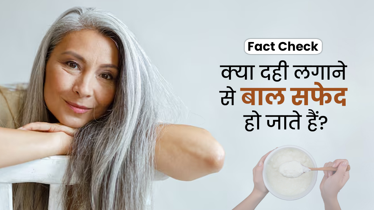 Fact Check: क्या दही लगाने से बाल सफेद हो जाते हैं? एक्सपर्ट से जानें
