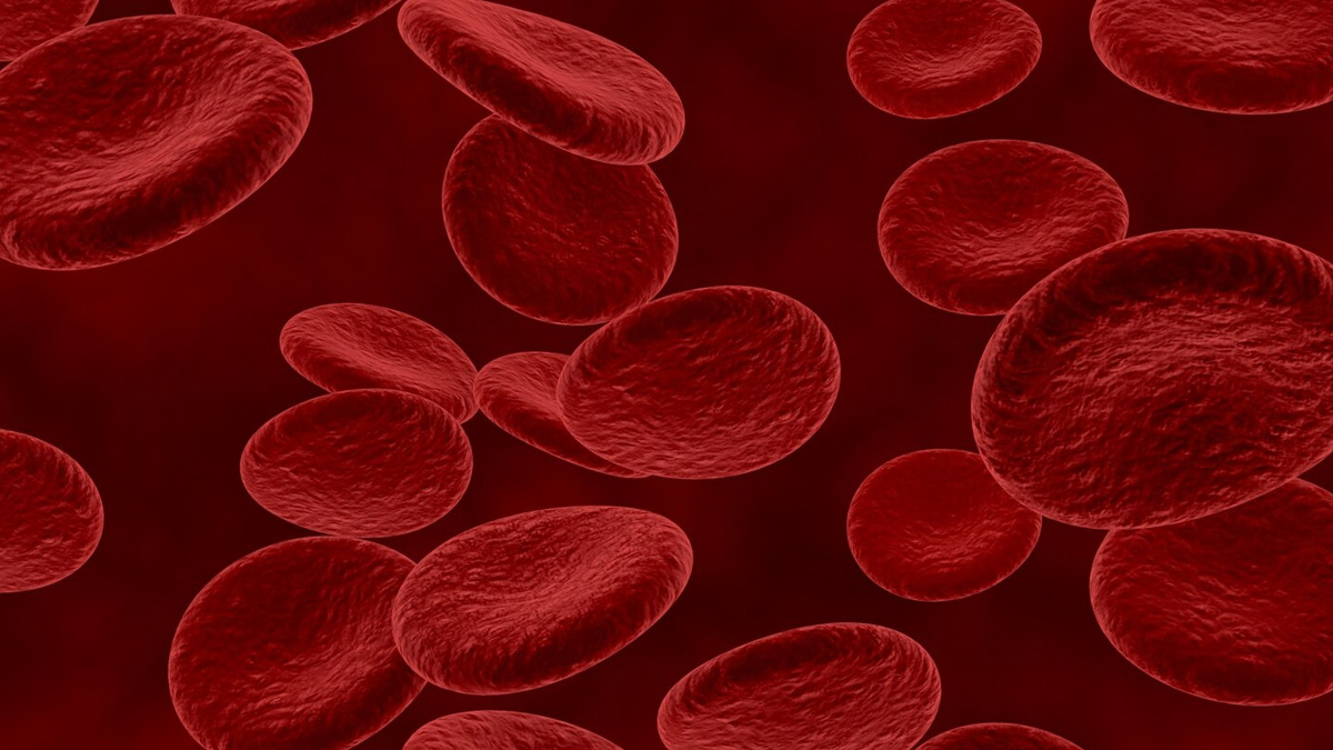 kiwi or papaya which is better for platelets in hindi 1