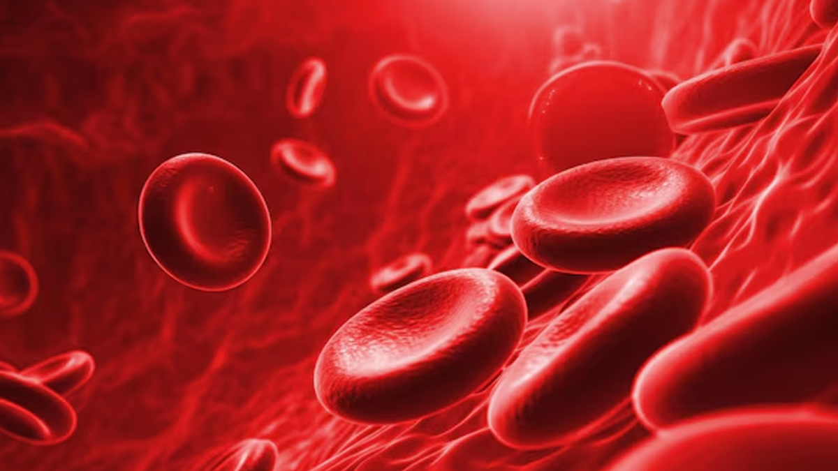 iron deficiency in infants signs and dietary tips to boost hemoglobin in children in hindi 01 (5)