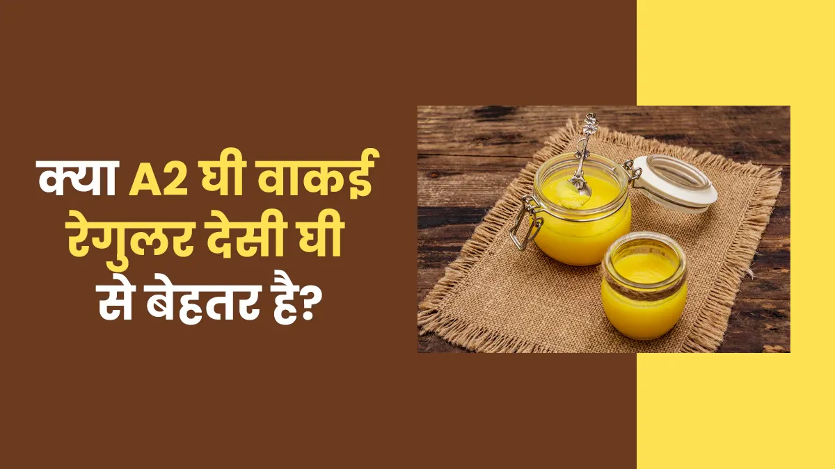 क्या A2 घी है वाकई रेगुलर देसी घी से बेहतर? जानें सच और सेहत पर असर