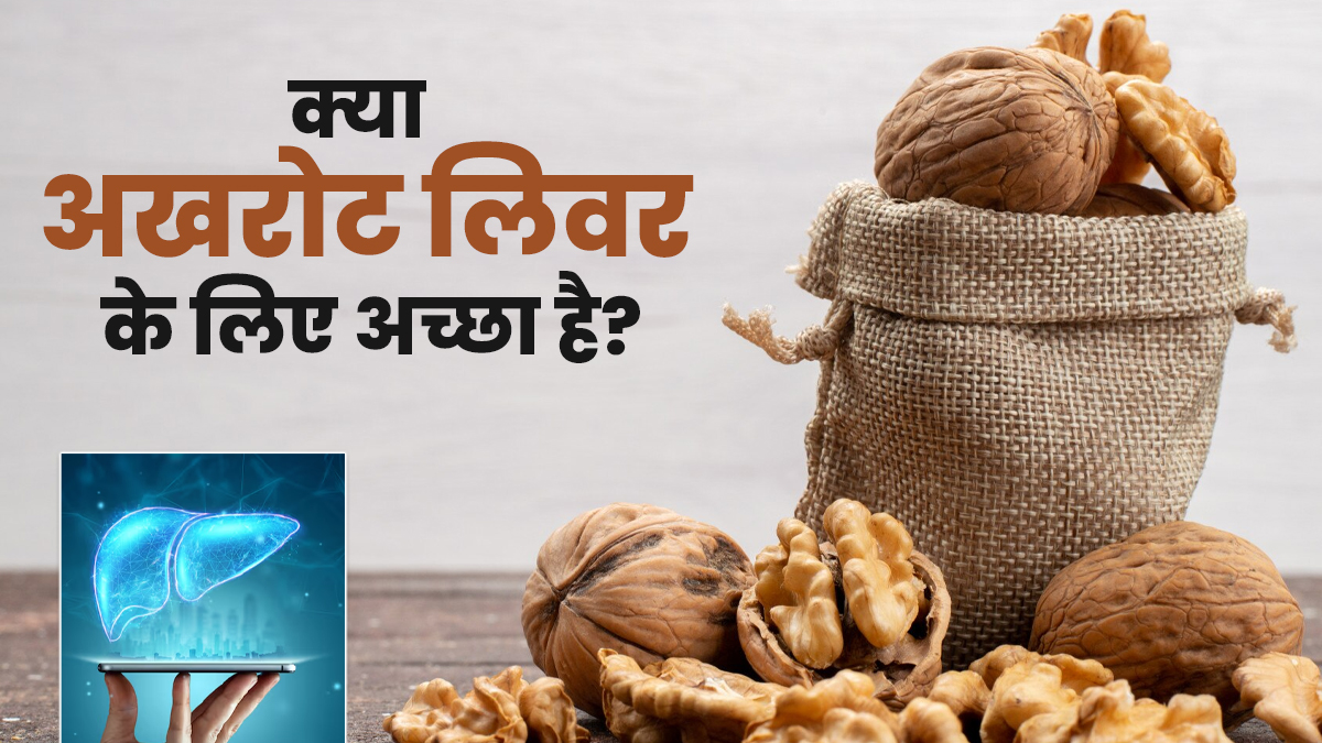क्या अखरोट लिवर को रिपेयर करने के लिए अच्छा है? एक्सपर्ट से जानें