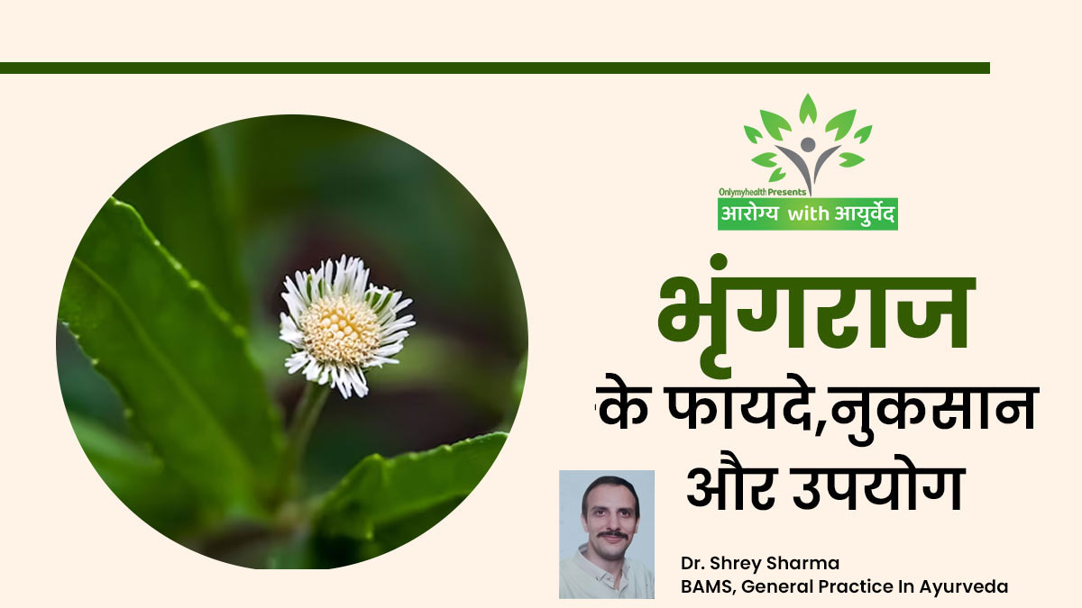 भृंगराज के फायदे, नुकसान और इसके इस्तेमाल का तरीका? जानें आयुर्वेदिक डॉक्टर से जानें