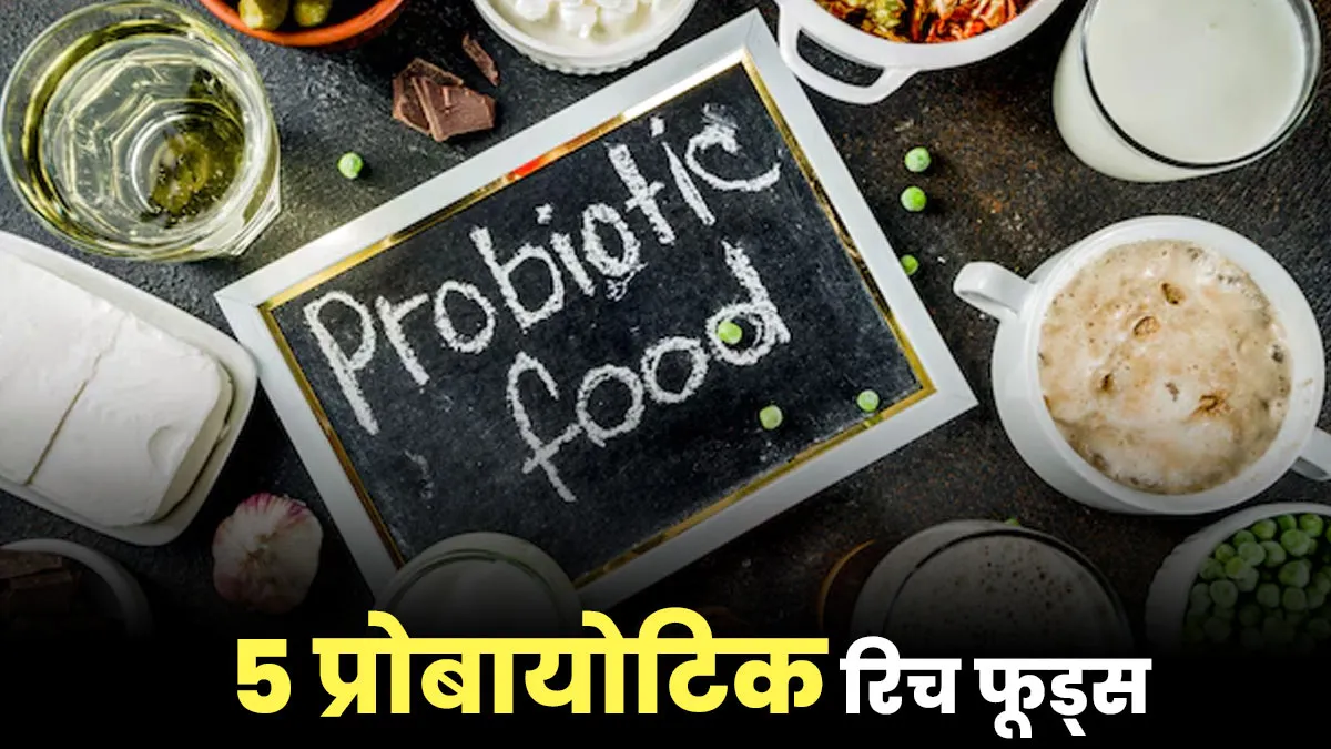 मानसून में पाचन दुरुस्त रखेंगे ये 5 प्रोबायोटिक रिच फूड्स, एक्सपर्ट से जानें
