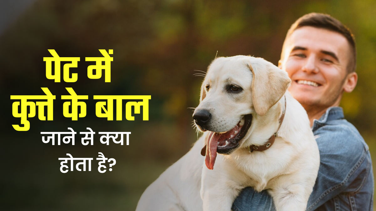 अगर इंसान के पेट में कुत्ते के बाल चले जाएं तो क्या होता है? डॉक्टर से जानें