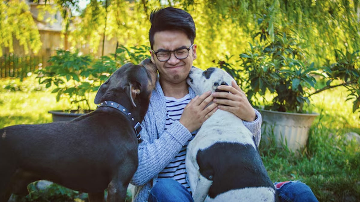 kutte ke baal khane se kya hota hai