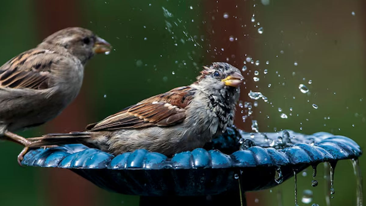 totlapan-kaise-dur-hota-hai-inside
