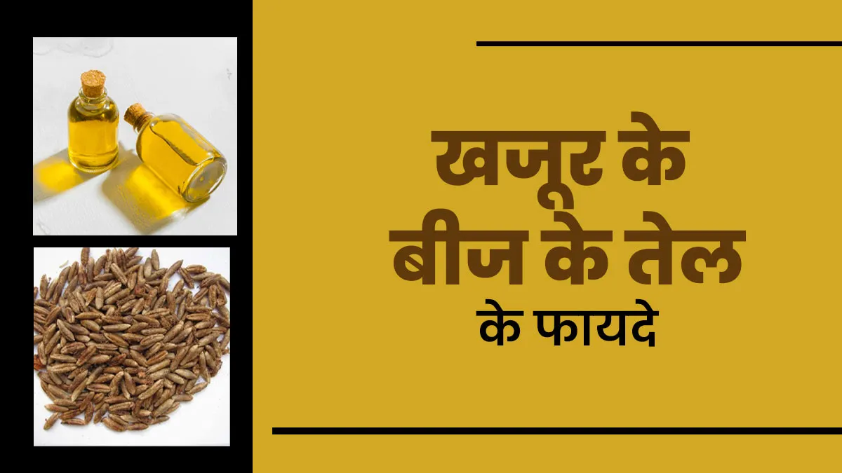 हेल्थ के साथ-साथ बालों को शाइनी बनाता है खजूर के बीजों का तेल, आयुर्वेदाचार्य से जानें फायदे