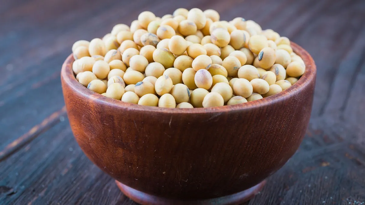 सुबह खाली पेट सोयाबीन खाने के क्या फायदे हैं? जानें एक दिन में कितना खाएं