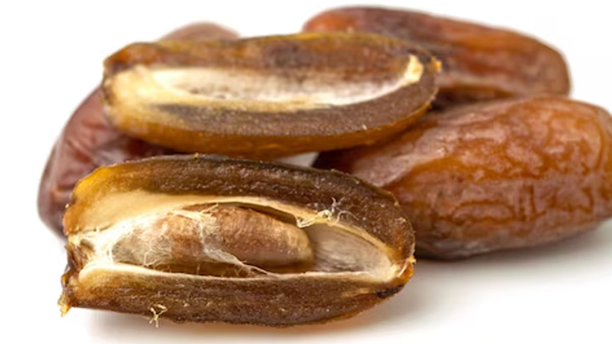 benefits of date seed oil
