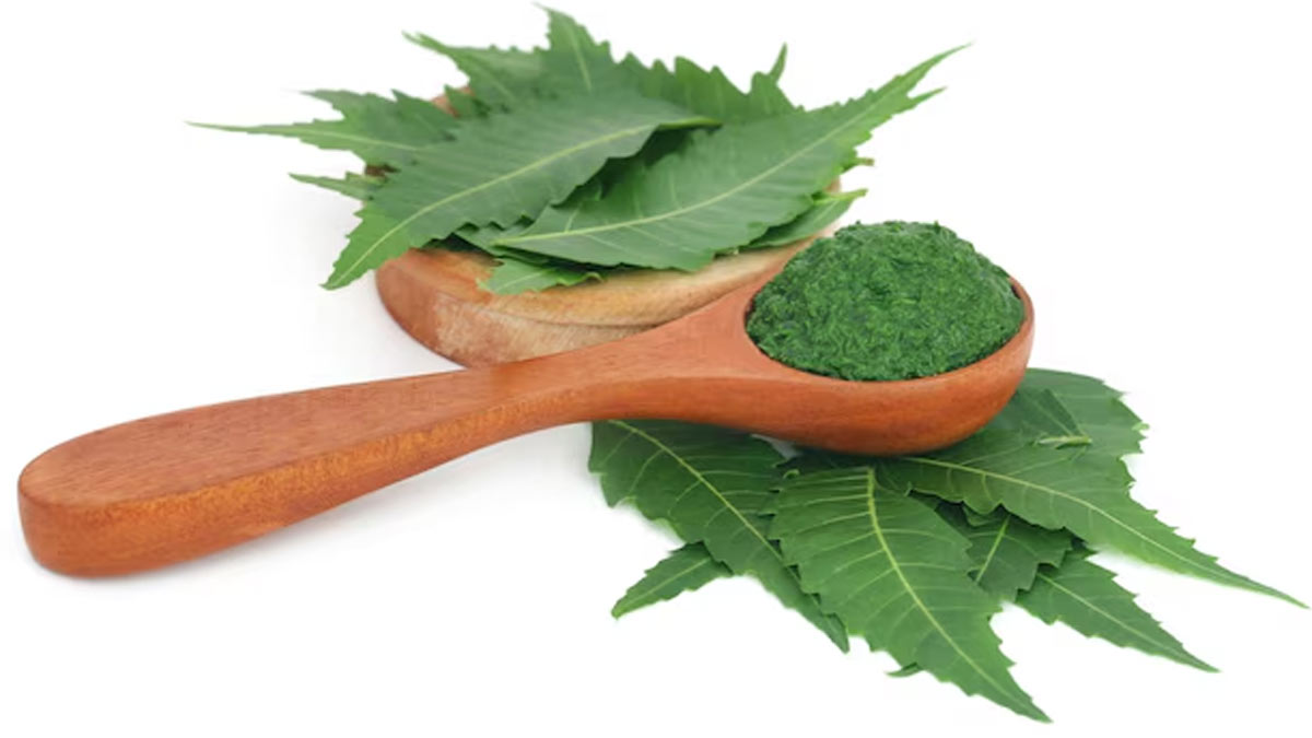 is-neem-leaves-good-in-low-blood-sugar