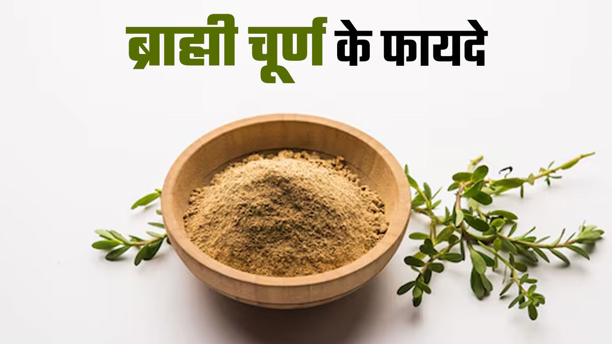 Brahmi Powder: ब्रह्मी चूर्ण है दिमाग के लिए वरदान, जानें इसके सेवन के फायदे