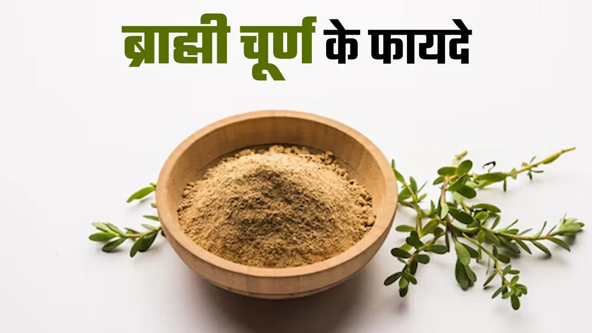 Brahmi Powder: ब्रह्मी चूर्ण है दिमाग के लिए वरदान, जानें इसके सेवन के फायदे