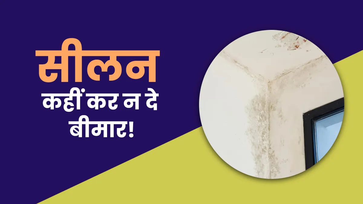 सीलन वाली दीवार, कहीं कर न दे आपको बीमार! डॉक्टर से जानें क्यों है ये सेहत से जुड़ा गंभीर मामला