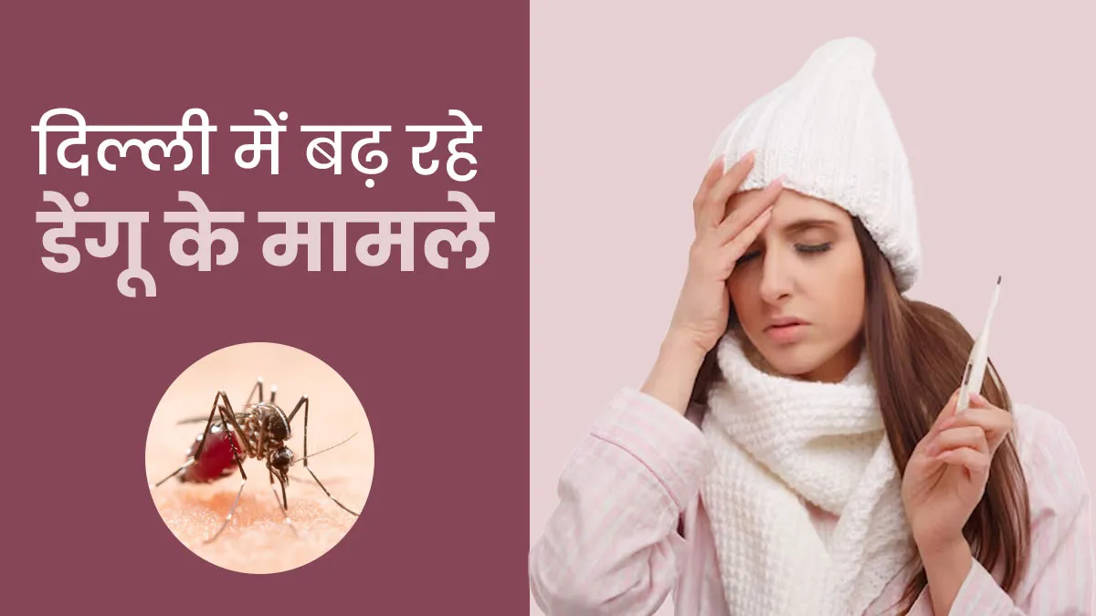 दिल्ली में रिकॉर्ड तोड़ बारिश के बीच बढ़ रहे डेंगू के मामले, अगस्त में अब तक मिले 121 केस