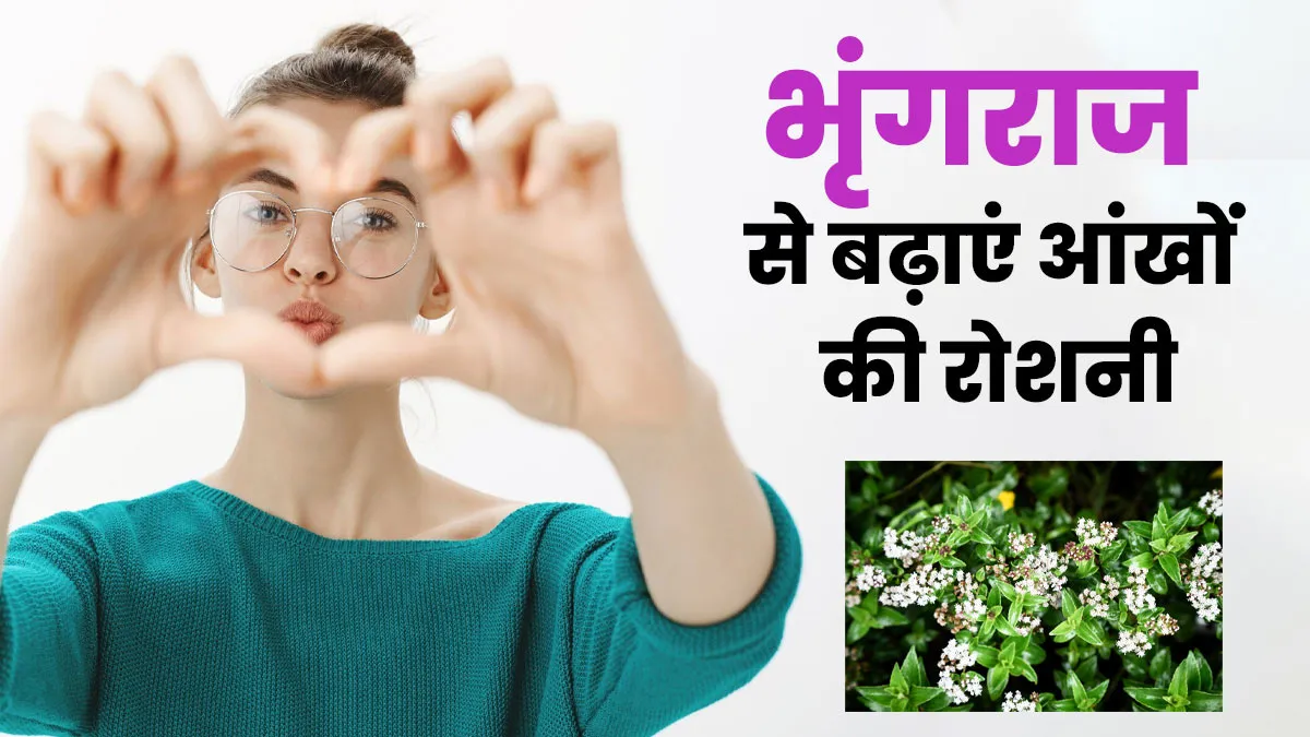 आंखों की रोशनी बढ़ाने में कारगर है भृंगराज, जानें फायदे और इस्तेमाल का तरीका