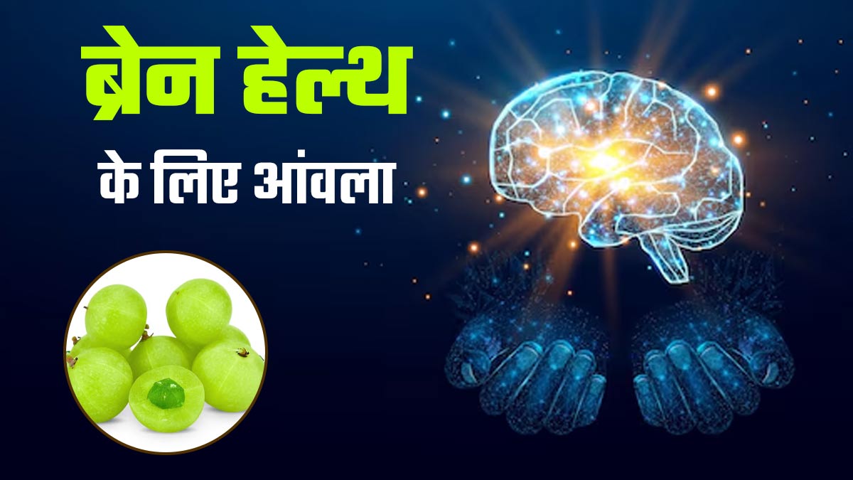 ब्रेन के लिए फायदेमंद है आंवला, जानें खाने का तरीका