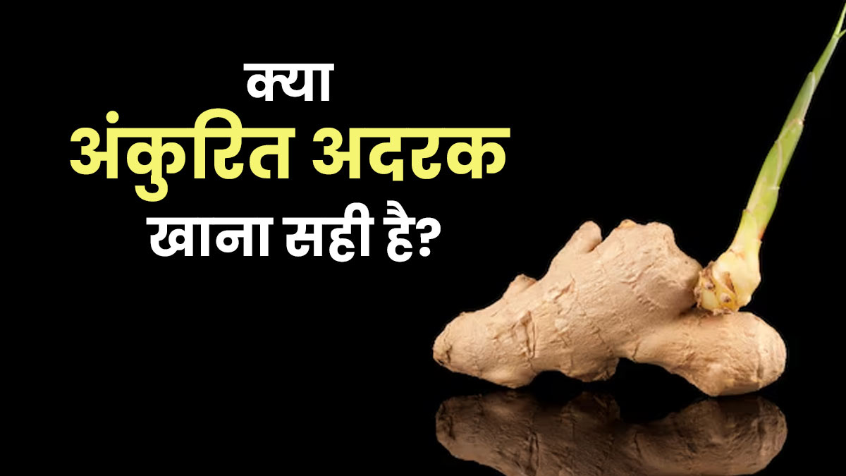 क्या अंकुरित अदरक खाना सुरक्षित है? एक्सपर्ट से जानें