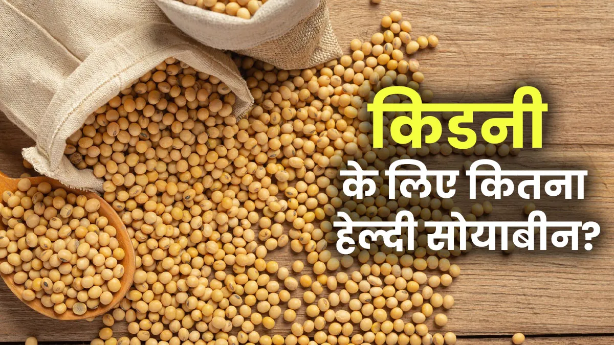 किडनी के रोगियों को सोयाबीन खाना चाहिए या नहीं? जानें एक्सपर्ट से