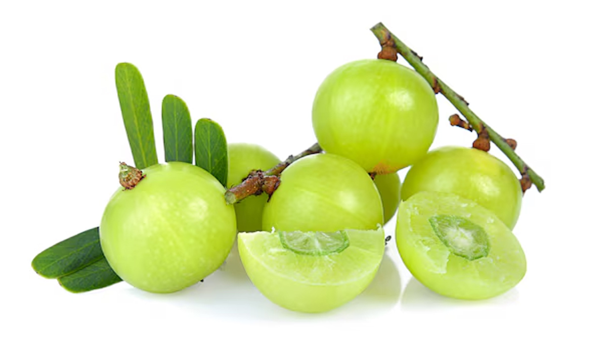 amla benefits for the brain health know how to eat it in hindi 1