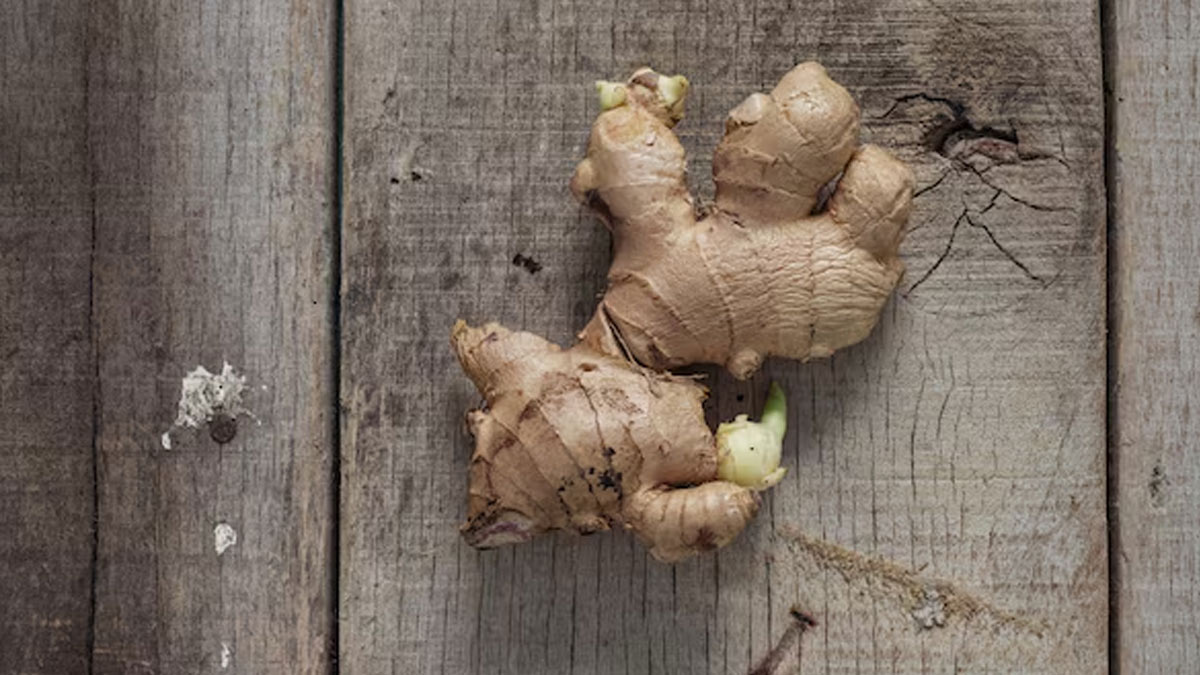 is it safe to eat sprouted ginger in hindi 01 (5)