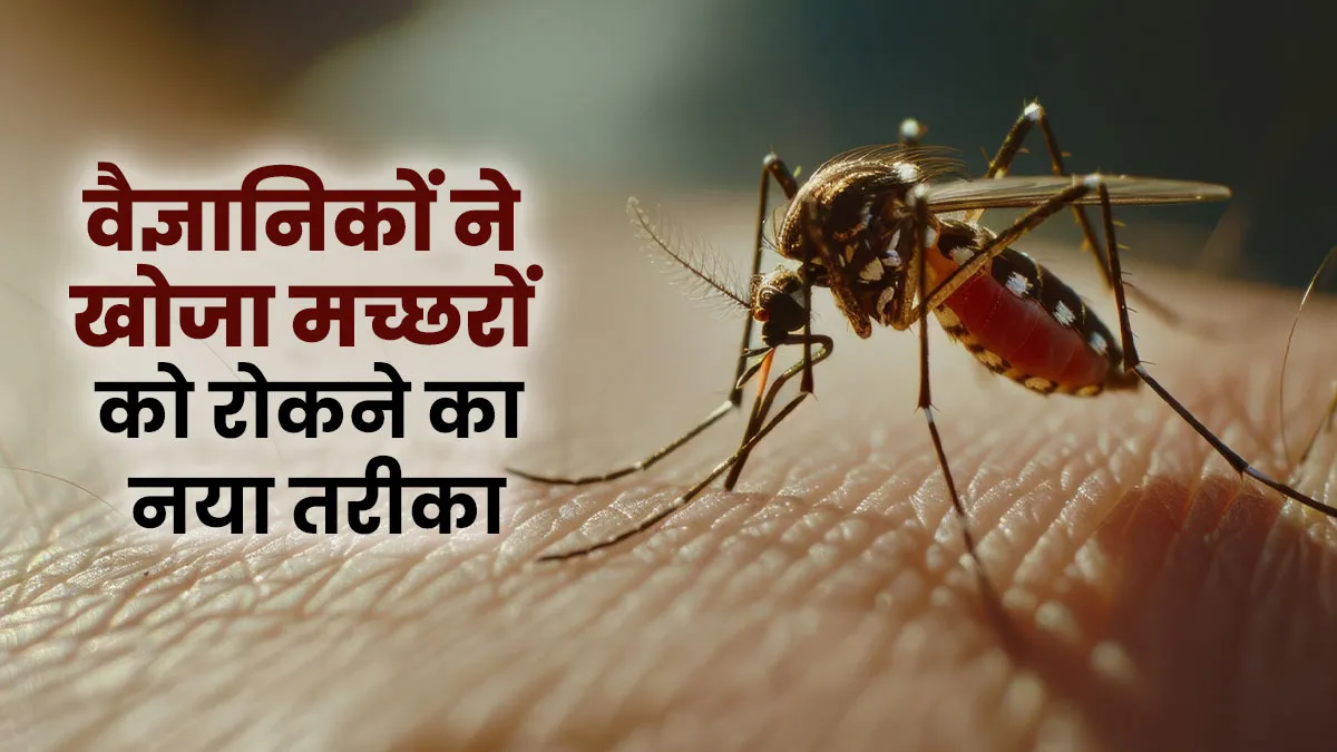 मच्छर भगाने के लिए वैज्ञानिकों ने खोजा नया तरीका, न जलेगी क्वाइल, न लगेगी बिजली